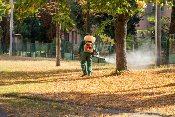 Best Best Pest Control Companies  in Temple Terrace, FL