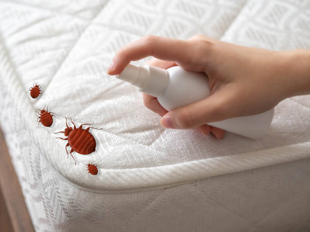 Best Residential Pest Control  in Temple Terrace, FL